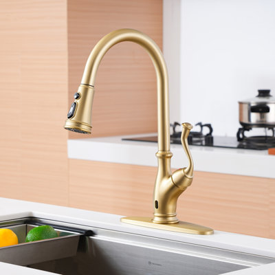 Boyel Living Pull Down Touchless Kitchen Faucet