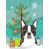 Boston-terrier noir/blanc n'est pas disponible