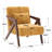Juriana Mid Century Modern Upholstered Chenille Solid Wood Accent Armchair with an Extra Pillow-569007045