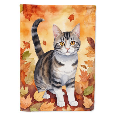 Chat en feuilles d'automne