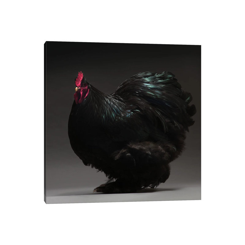 Cochin Bantam par - Toile tendue, H 12 po x l 12 po x P 0,75 po