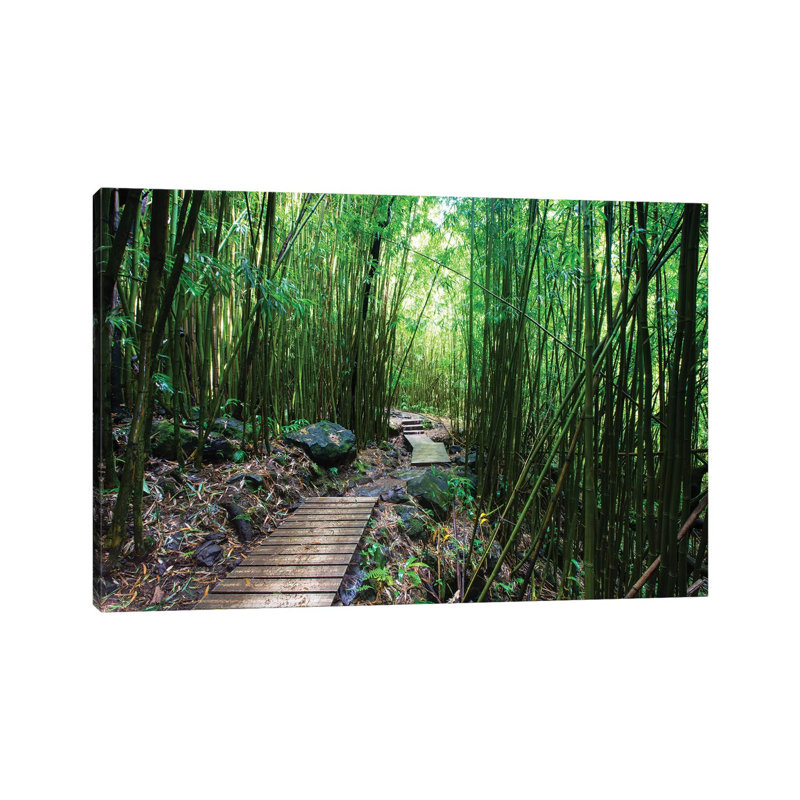 Boardwalk Through Bamboo, Pipiwai Trail, Hakeakala National Park, Kipahulu, Hana Road, Maui, Hawaii, USA IV - Wrapped Canvas Print