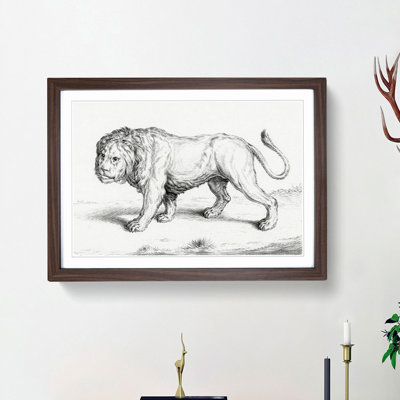 Prowling Lion by Jean Bernard - Picture Frame Drawing Print