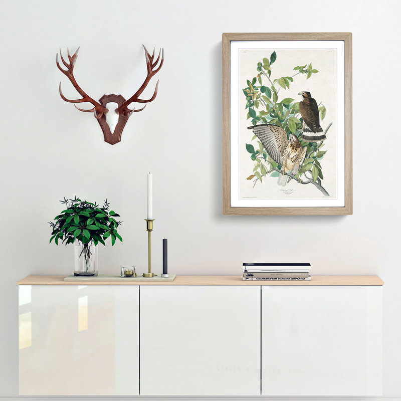 Brown-Winged Hawk by John James Audubon - Picture Frame Art Print, Oak Framed, 65cm H x 48cm W x 2cm D