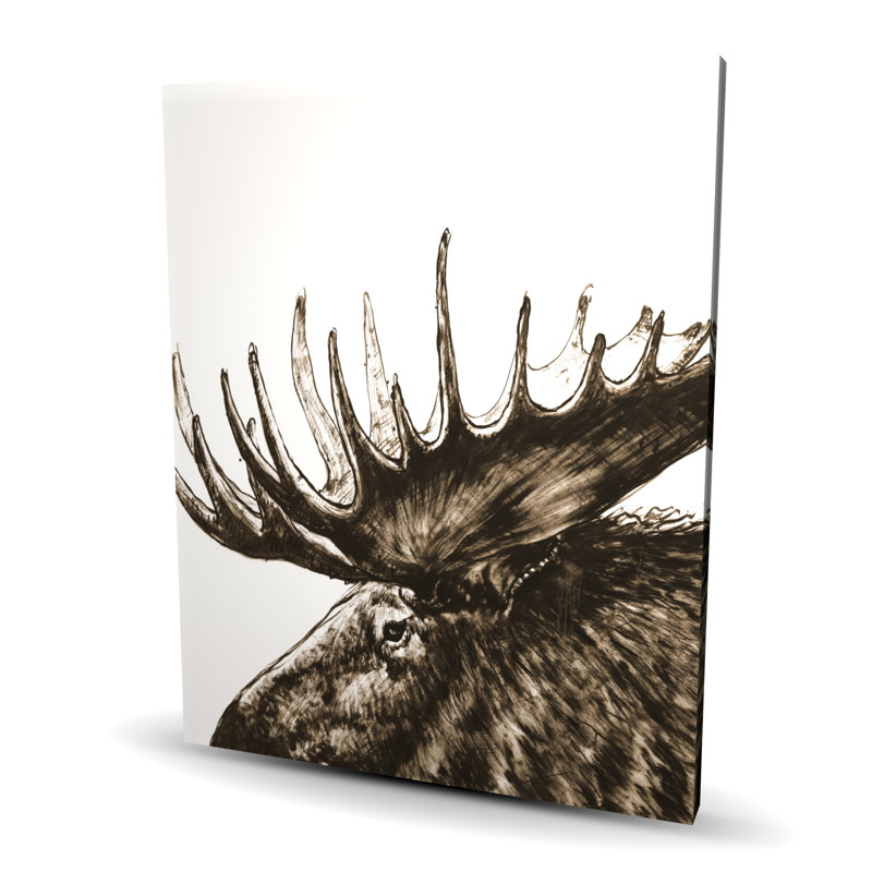 Moose Plume Sepia - Brown Man Cave Canvas for Home Decor