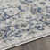 Aldolphus Oriental Indoor Rug