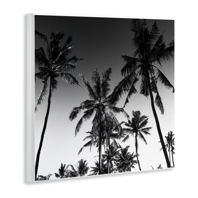 Plaque murale Palm Sunset Stark Contrast, design par Danita Delimont