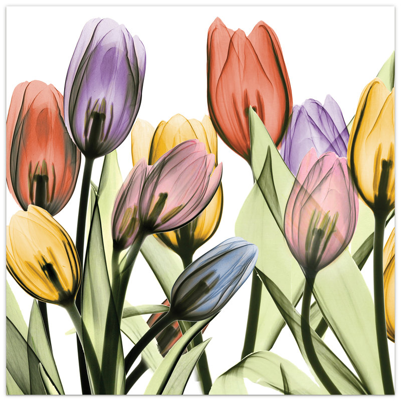 Peinture sans cadre