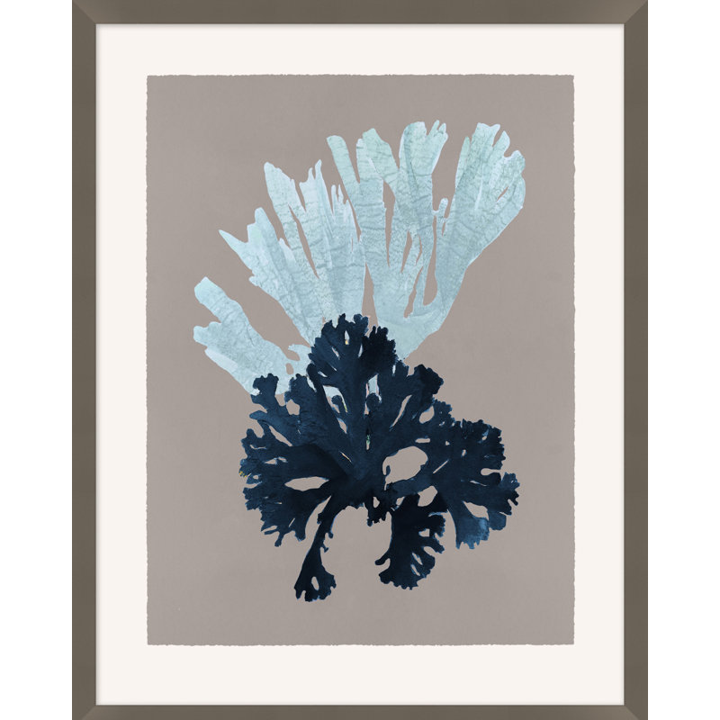 Seaweed On Taupe 3 Print by Hamptons