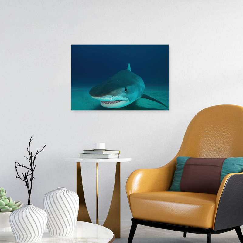 Impression d'art mural majestueux requin tigre contemporain, H 16 po x l 24 po