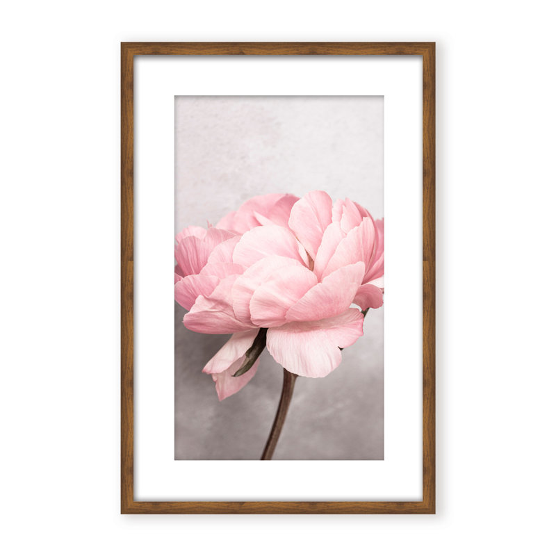 Nature Inspired Peony by  - Picture Frame Photograph on Paper, 36" H x 24" W x 1.125" D, Black, Framed Matted Print