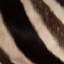 Hide Bolster Pillow w/ Leather Trim