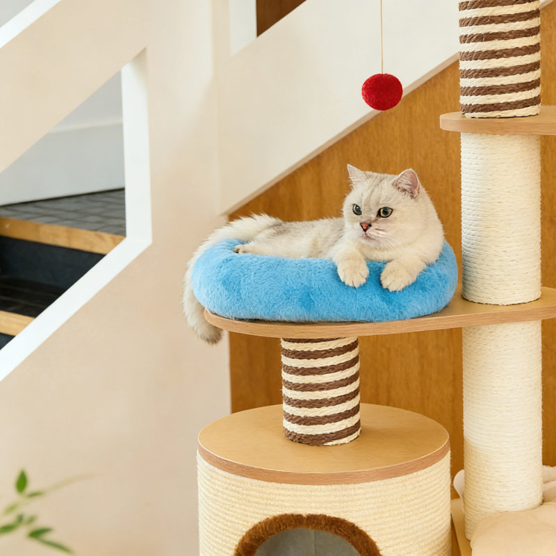 Arbre à chat Jaecia