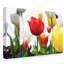 «Red White and Yellow», impression sur toile tendue-31329993