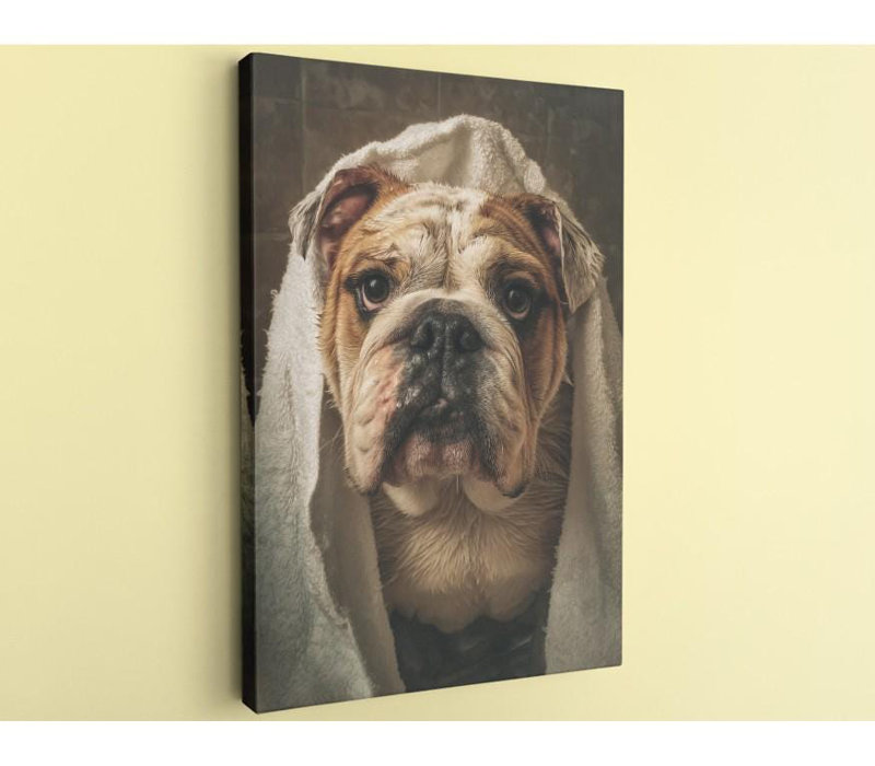 Drôle de bouledogue sur toile, H 30 po x l 20 po