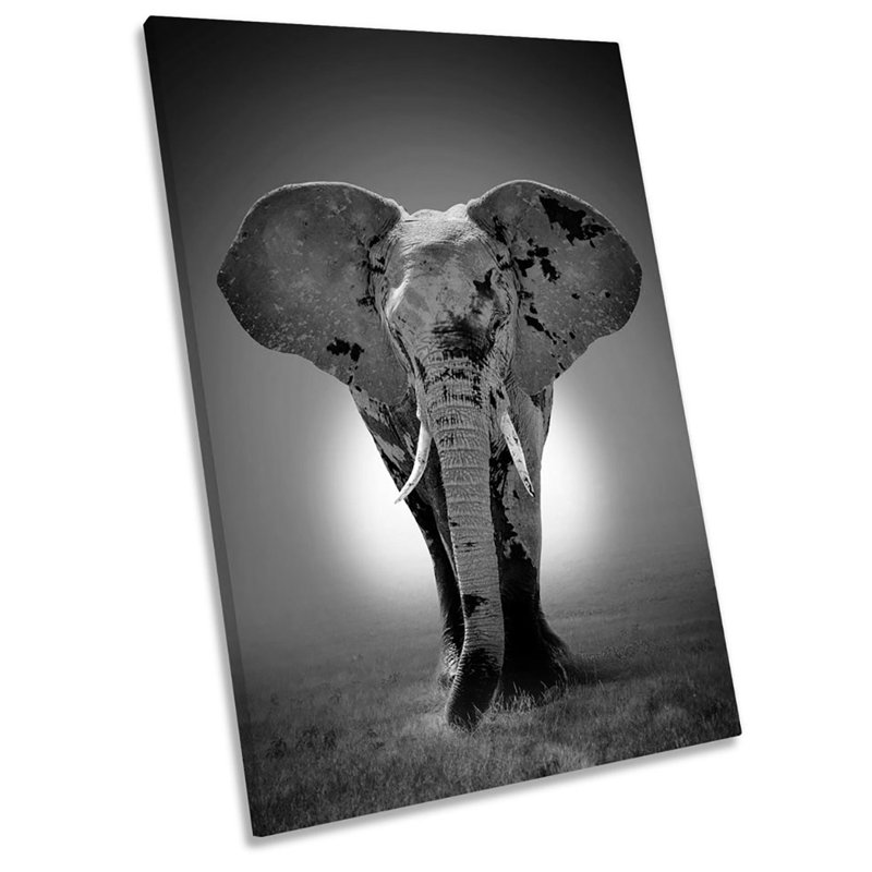 Elephant Sunset - Wrapped Canvas Print, 121.9cm H x 81.3cm W