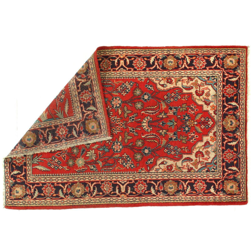 Hateme Oriental Area Rug in Red
