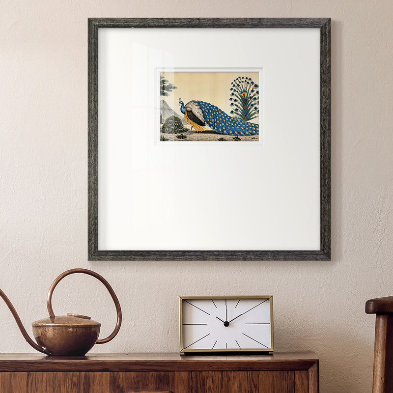 Peacock Plumpremium, reproduction encadrée, L 17 po x H 17 po, Papier avec cadre noir