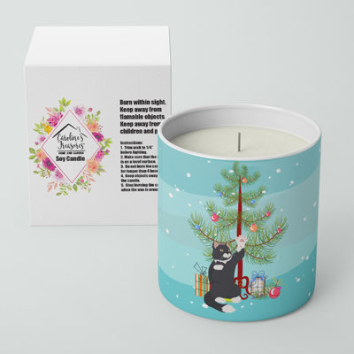 Bougie décorative 10 oz Soy American Polydactyl