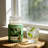  23 oz Eucalyptus and Mint Scented Candle: Refreshing and invigorating, helping to relax, relieve stress, and enhance the home ambiance