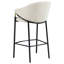 Tabourets de bar inclinés (ensemble de 2)