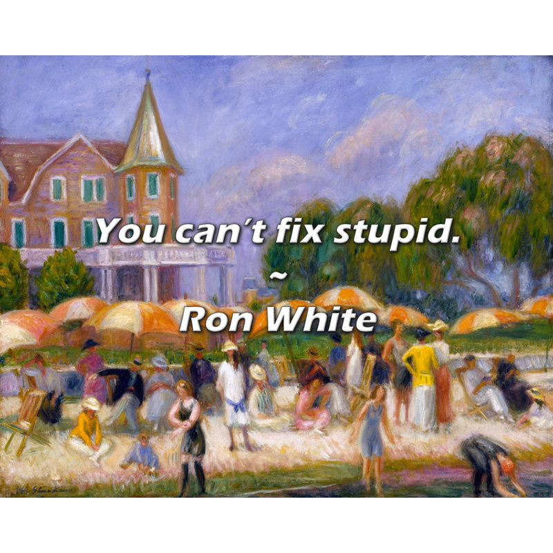 Citation de Ron White: Vous ne pouvez pas réparer les bêtises.