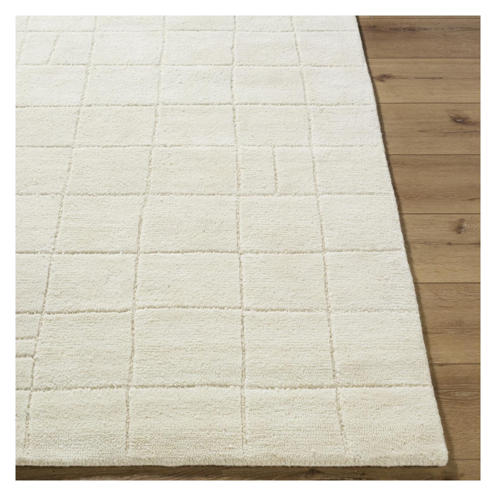 Lorette Hand Tufted Wool Off-White Rug, Rectangle 2' x 3'