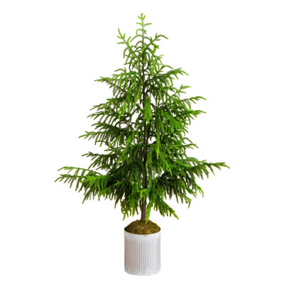 5Ft. Artificial Real Touch Norfolk Island Pine In Metal Tin Planter With Natural Look