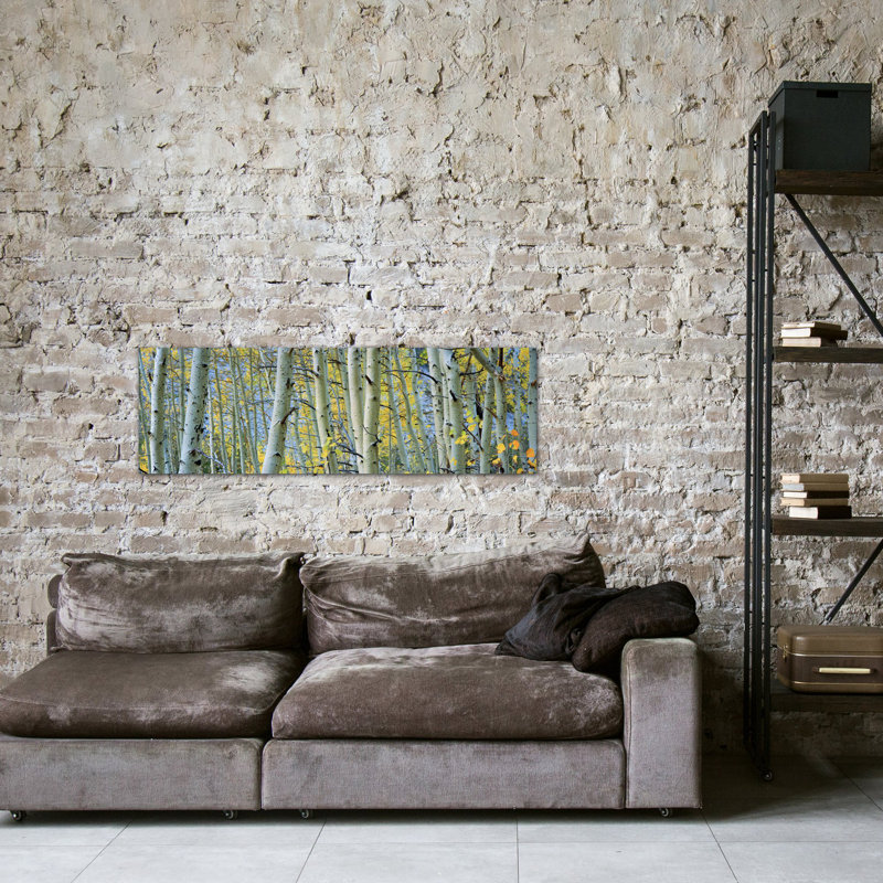 Aspen Trees in a Forest - reproduction de photo sur toile, H 24 po x l 72 po x P 1,5 po