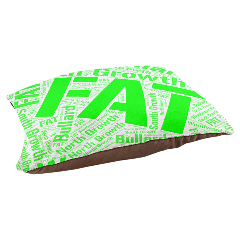 Coussin de chien « districts », Moyen (H 9,5 po x l 28 po x P 18 po), Vert, Fresno