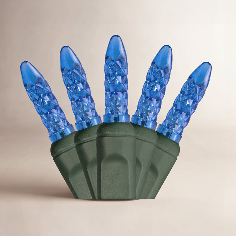 288'' LED String Lights, Blue