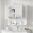 Wall Mounted Mirror Medicine Cabinet with Adjustable Shelf-262401768