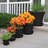 Terra Traditional Plastic Indoor/Outdoor Pot Planter-706139605-759619941