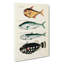 East Indies Fish Illustrations Fol. 15 by Henry Alken - Wrapped Canvas-55342600