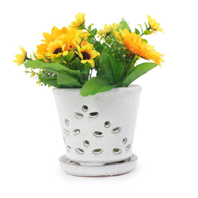  Orchid Pot with Drainage Hole and Saucer, White, 5.9 Inch | Glazed Flower Pot, Drainage Hole, Vent Holes, Attached Saucer