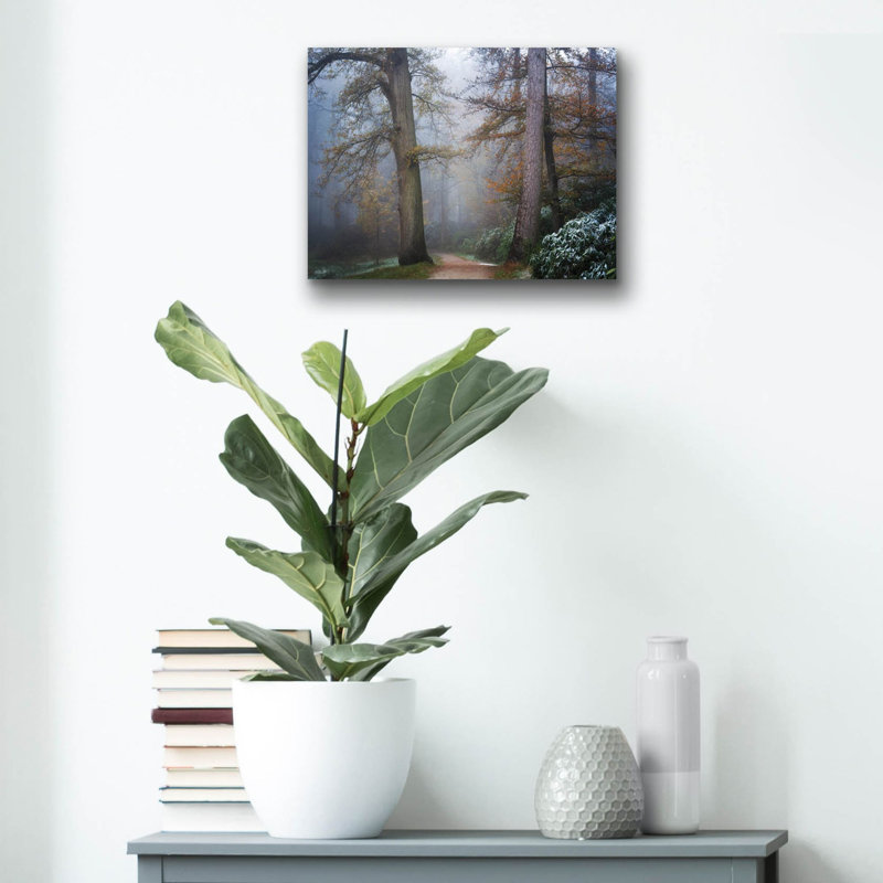  «Peaceful Path» par Martin Podt, art mural en verre acrylique, 16 po x 12 po