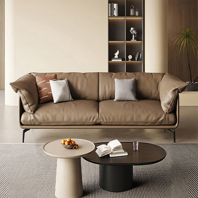 Coffee Genuine Leather Standard Sofa cushion Loveseat