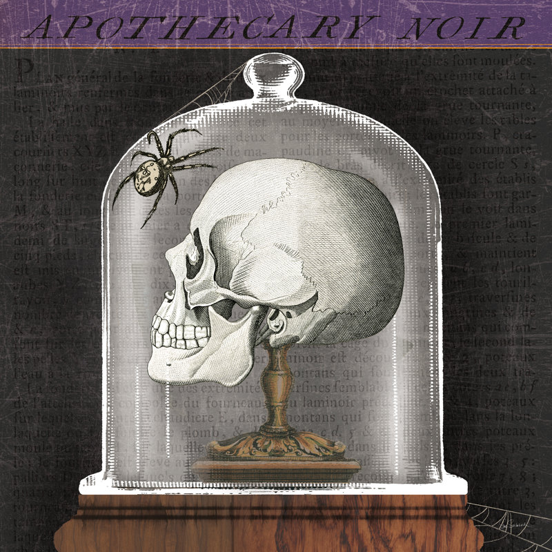 Apothecary Noir II - Wrapped Canvas Print, 122cm H x 122cm W