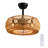 Erilynn 20'' Boho Caged Ceiling Fan