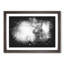 Highland Cow - Picture Frame Graphic Art Print-56863424-56863429