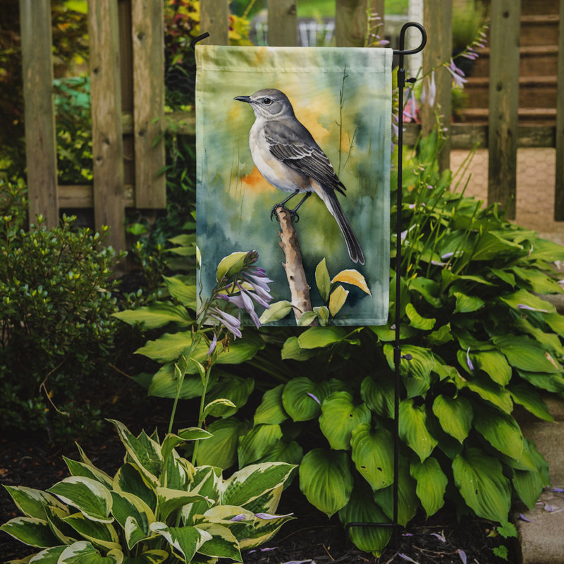 Drapeau de jardin, Moqueur de Floride