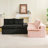 Pink&Blackturtle Velvet Double Chaise Lounge Multifunctional Lazy Sofa-843493891