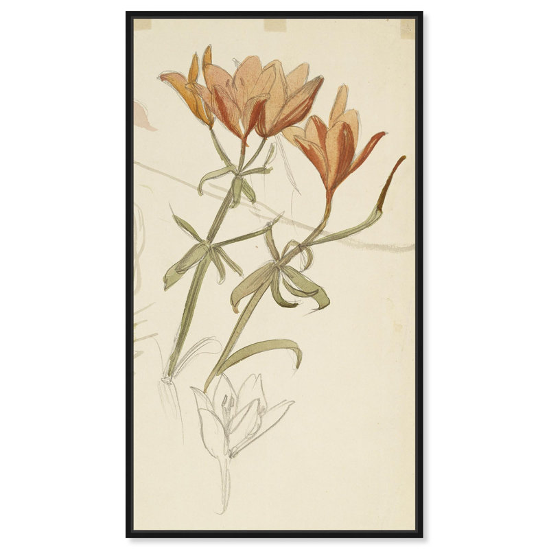 Floral par Albert, H 46 po x l 31 po, Cadre noir