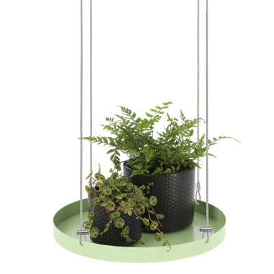 Plant Tray Hanging Round