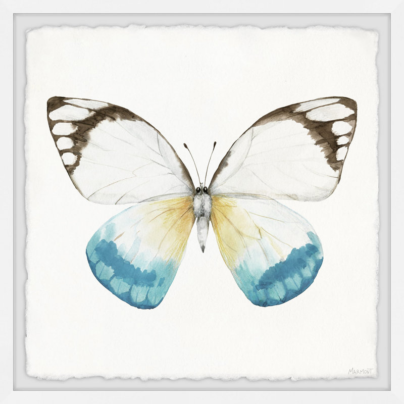Wing Quest - Single Picture Frame Painting, 81cm H x 81cm W x 3.81cm D