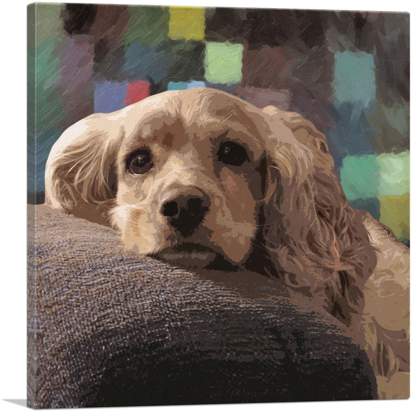 American Cocker Spaniel Dog Breed Squares - reproduction d'art sur toile tendue, H 12 po x l 12 po x P 1,5 po