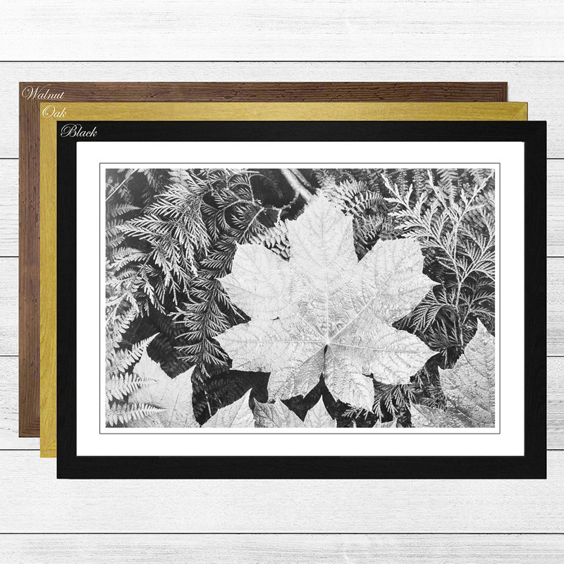 Ansel Adams - Single Picture Frame Print, Black