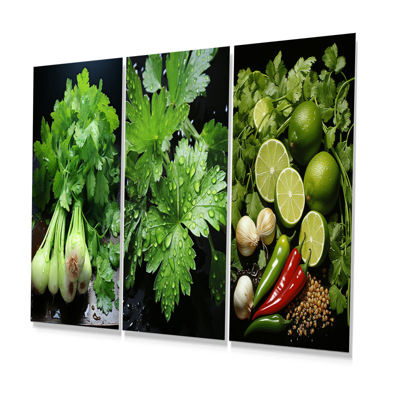 Herbes «Cilantro Splash I», ensemble d'art mural en métal de 3 herbes, H 28 po x l 36 po