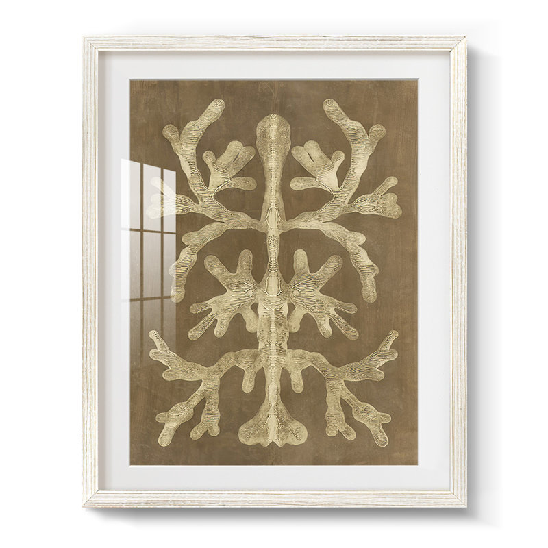 Printed Umber Curiosities II -Framed Print, 28.5" H x 20.5" W, White