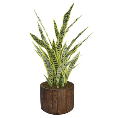 41'' Faux Agave Succulent in Fiberstone Planter